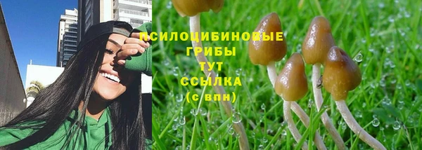 синтетический гашиш Мегион