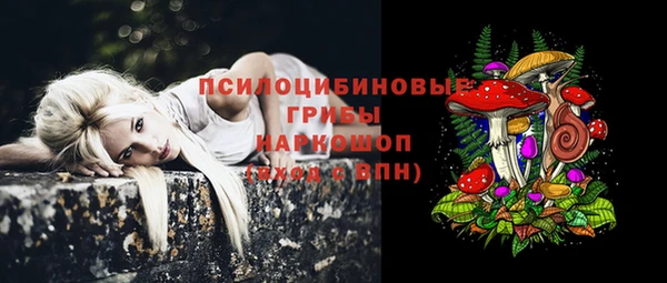 амфетамин Медвежьегорск