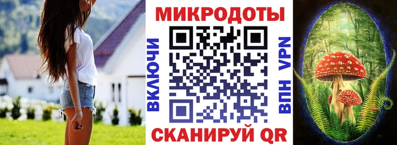 KRAKEN сайт  Жуков  Псилоцибиновые грибы мицелий 